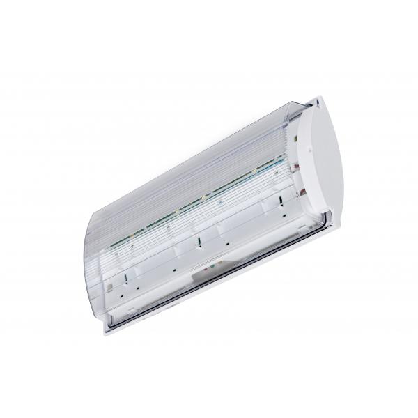 Rettungszeichenleuchte Sicherheits- Deckenmontage frostsicher zur B-Lite FROST-LUX beim und mit STANDARD Hersteller LED-Leuchtmittel und Wand- direkt kaufen